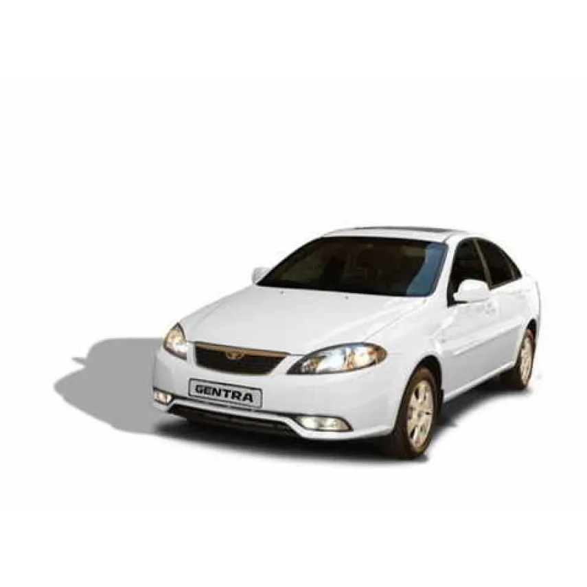 Автоковрики EVA (эваковрики) для Daewoo Gentra 2 (2013-2016) купить в Минске - салон, багажник