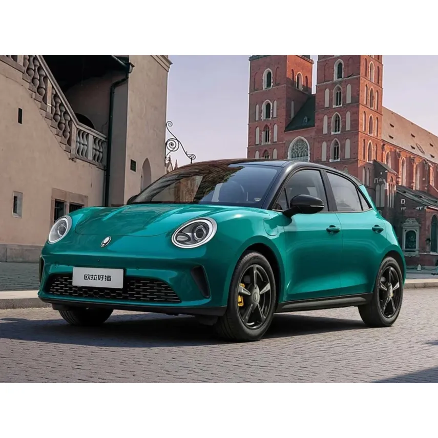 Коврики EVA для Ora Good Cat (2020-н.в.) купить в салон, багажник. ДОСТАВКА ПО БЕЛАРУСИ