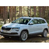 Коврики для Skoda Karoq (2017-н.в.) купить в салон, багажник. ДОСТАВКА ПО БЕЛАРУСИ