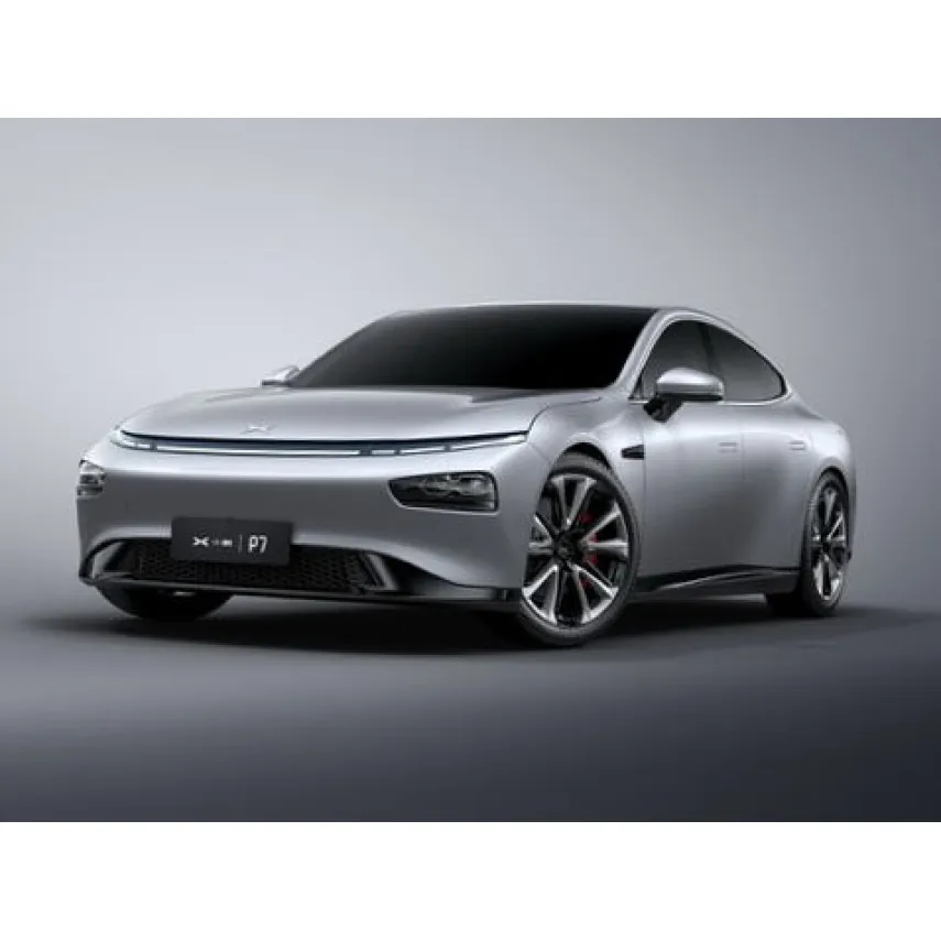 Коврики EVA для Xpeng P7 (2020-н.в.)